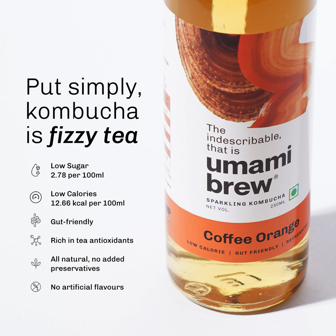 Umami Brew Coffee Orange Kombucha (Pack of 6)