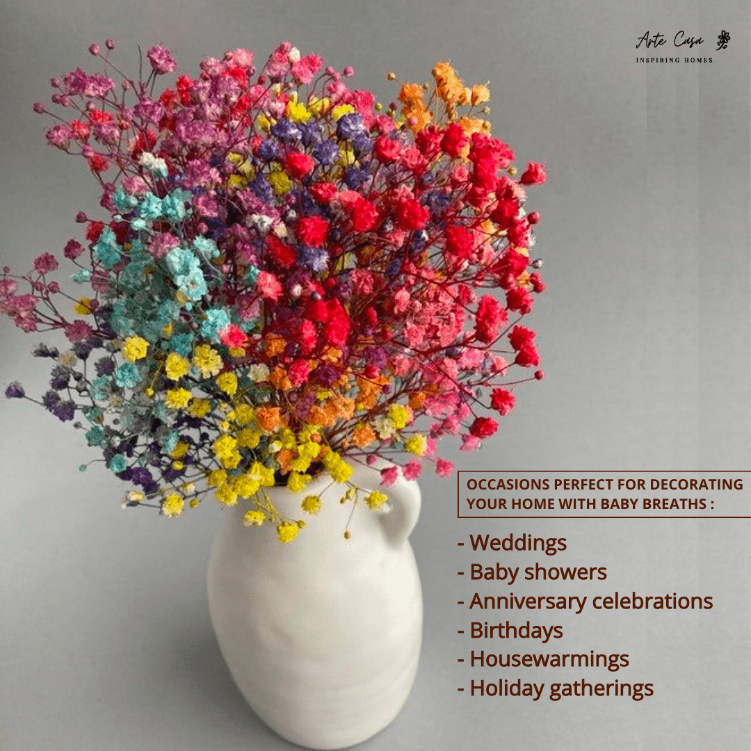 Multicolor Baby Breath Dried Flowers
