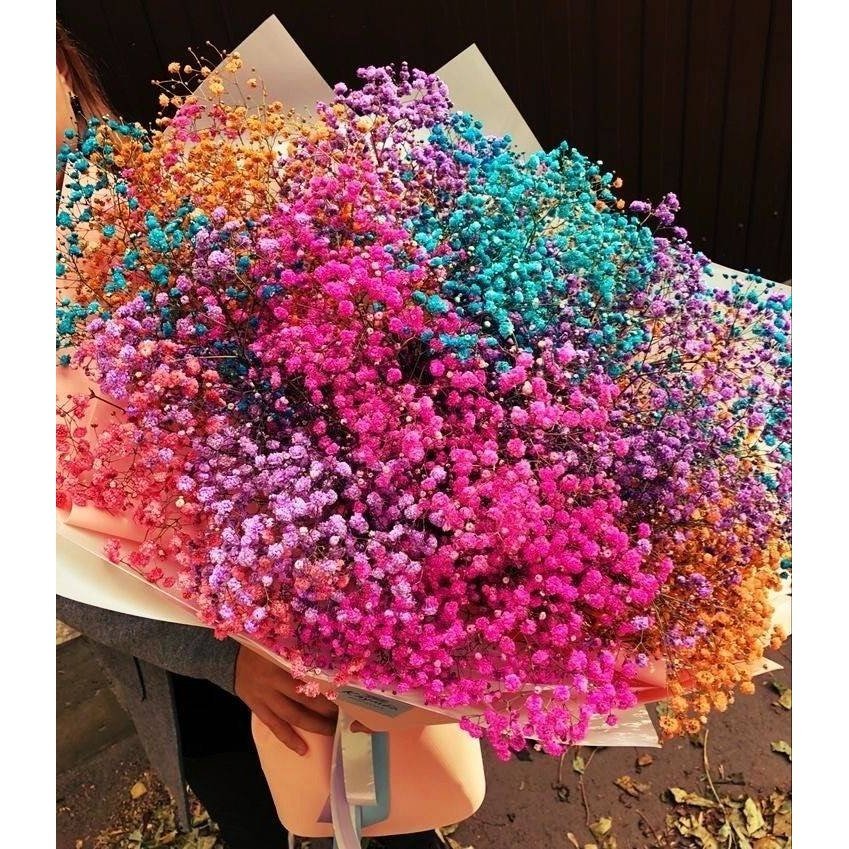 Multicolor Baby Breath Dried Flowers