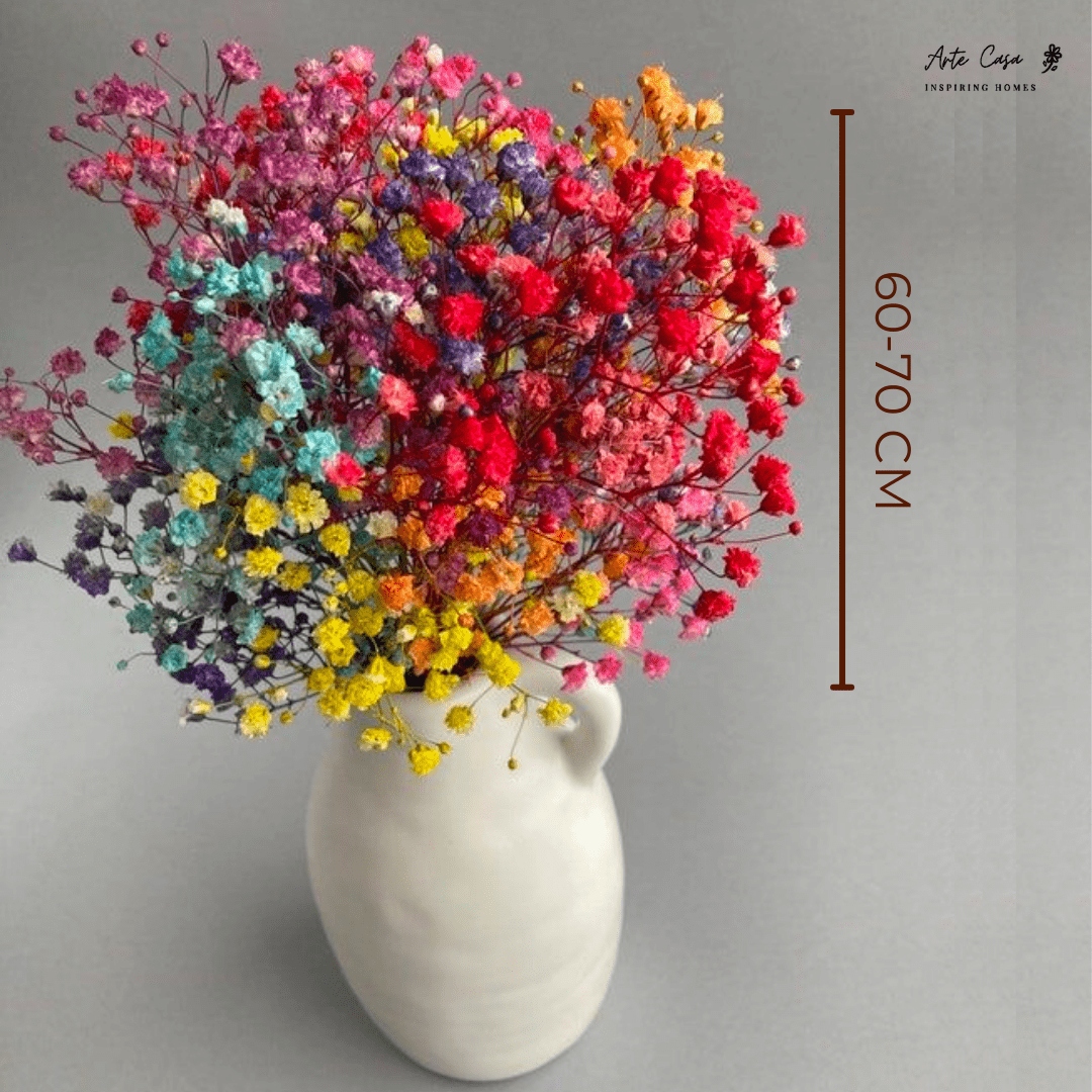 Multicolor Baby Breath Dried Flowers