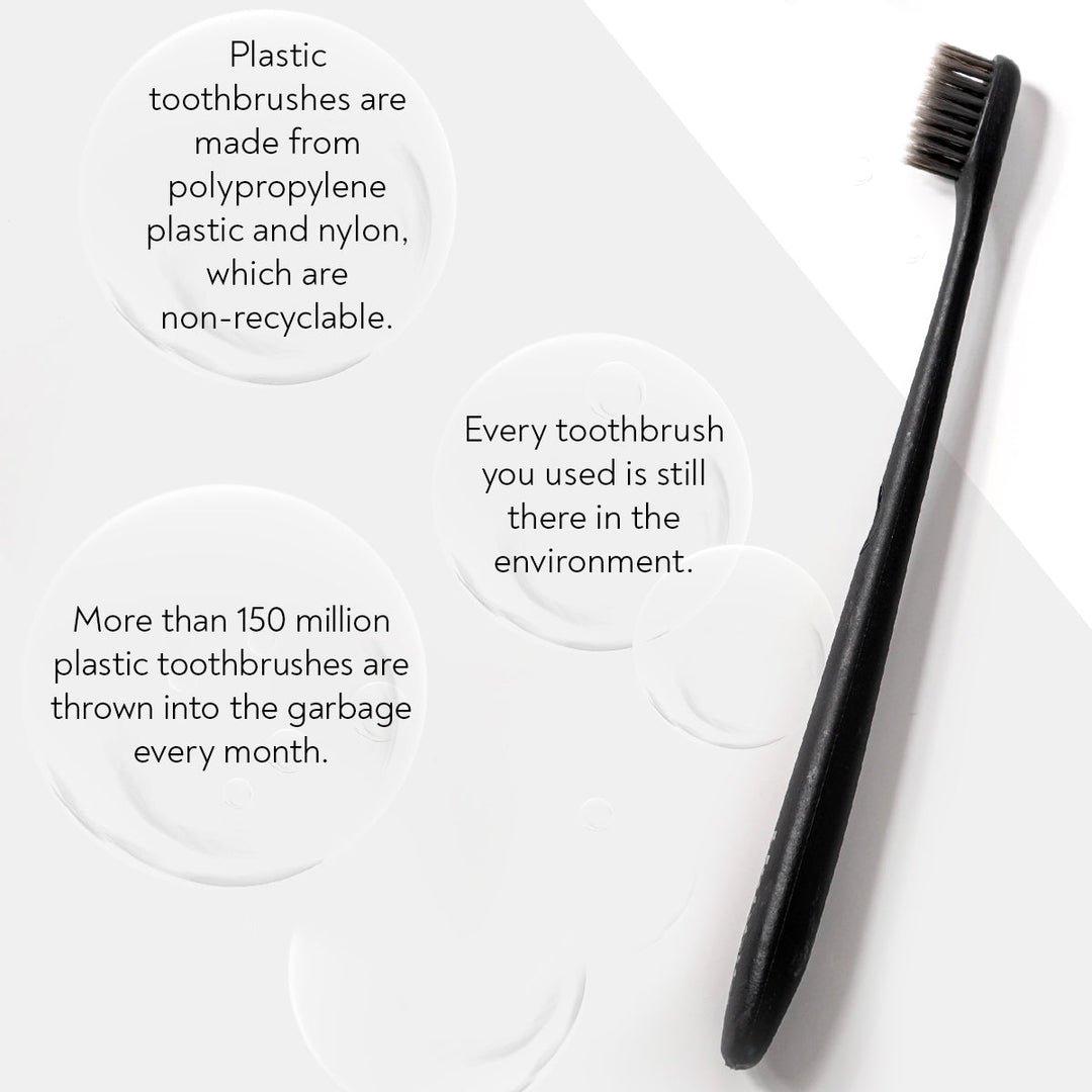 Habbits Natural Oral Care Bundle | 2 Charcoal Toothpaste (100g Each) + 4 Biodegradable Toothbrushes | Tea Tree + Activated Charcoal | Fights Plaque & Bad Breath | Natural, Vegan, Enamel-Safe Toothpaste |