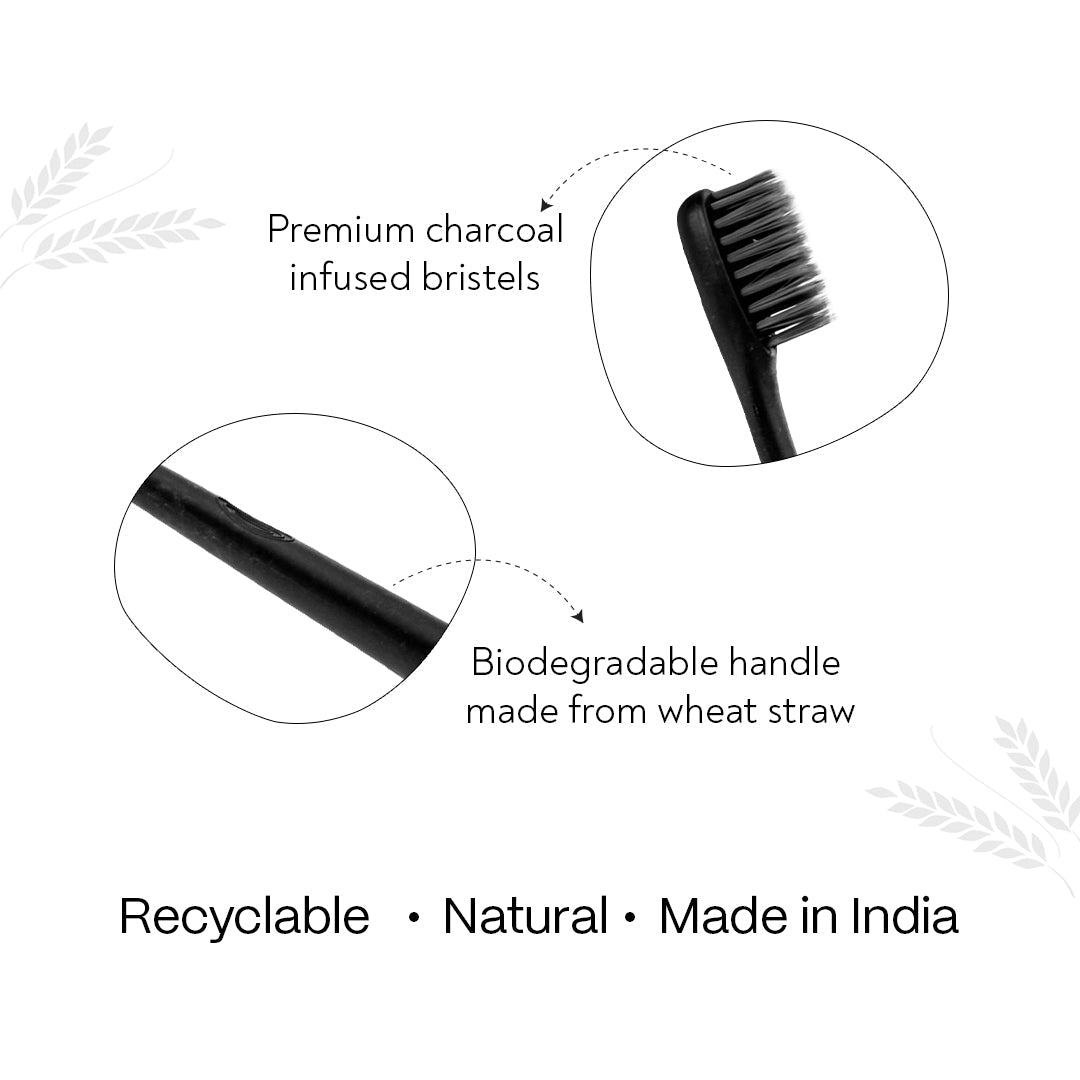 Habbits Oral Care Bundle | Charcoal Toothpaste (100g) + Charcoal Mouthwash (250ml) + 2 Biodegradable Toothbrushes | Natural Whitening | Vegan | SLS-Free | Tea Tree & Spearmint | Fights Plaque & Bad Breath