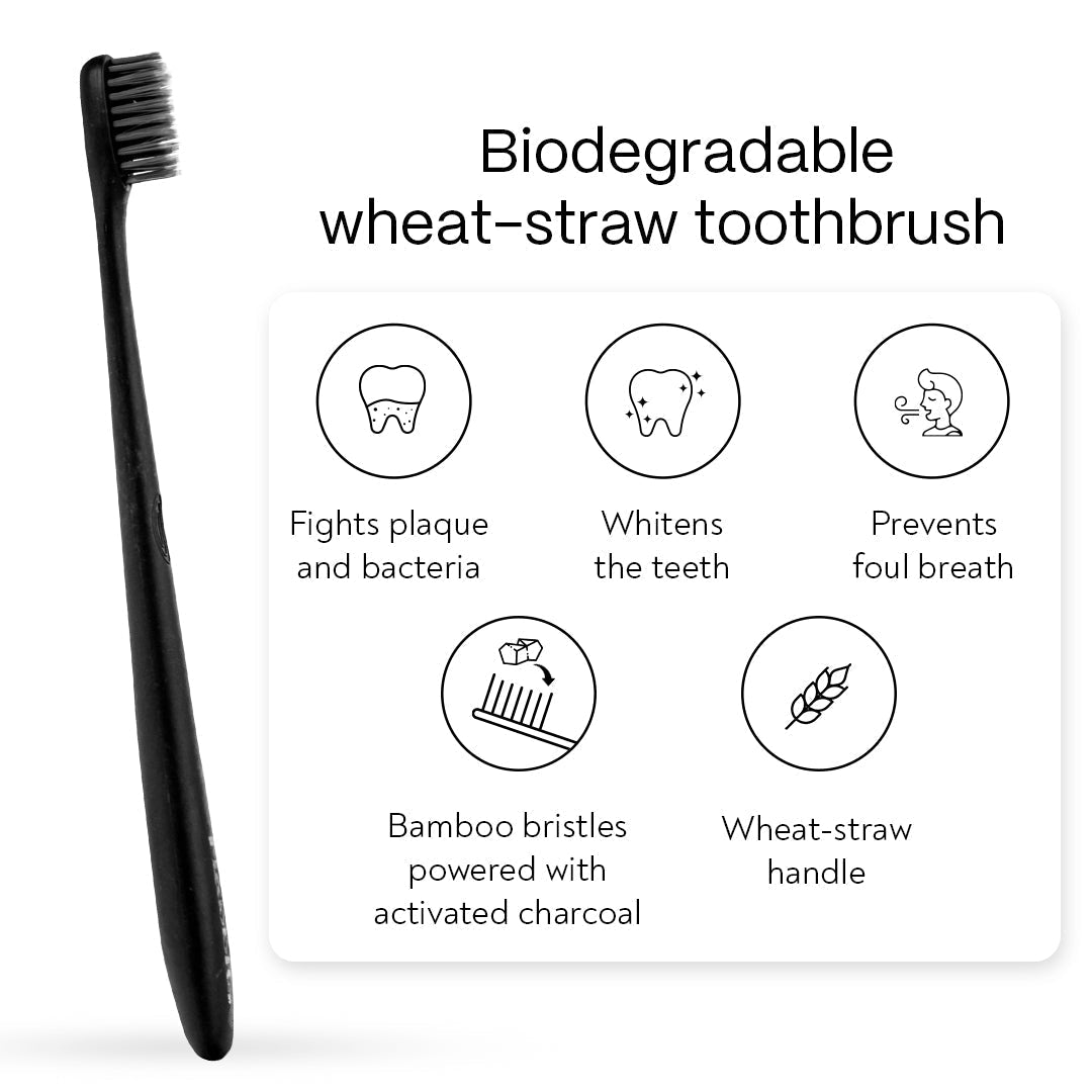 Habbits Oral Care Bundle | Charcoal Toothpaste (100g) + Charcoal Mouthwash (250ml) + 2 Biodegradable Toothbrushes | Natural Whitening | Vegan | SLS-Free | Tea Tree & Spearmint | Fights Plaque & Bad Breath