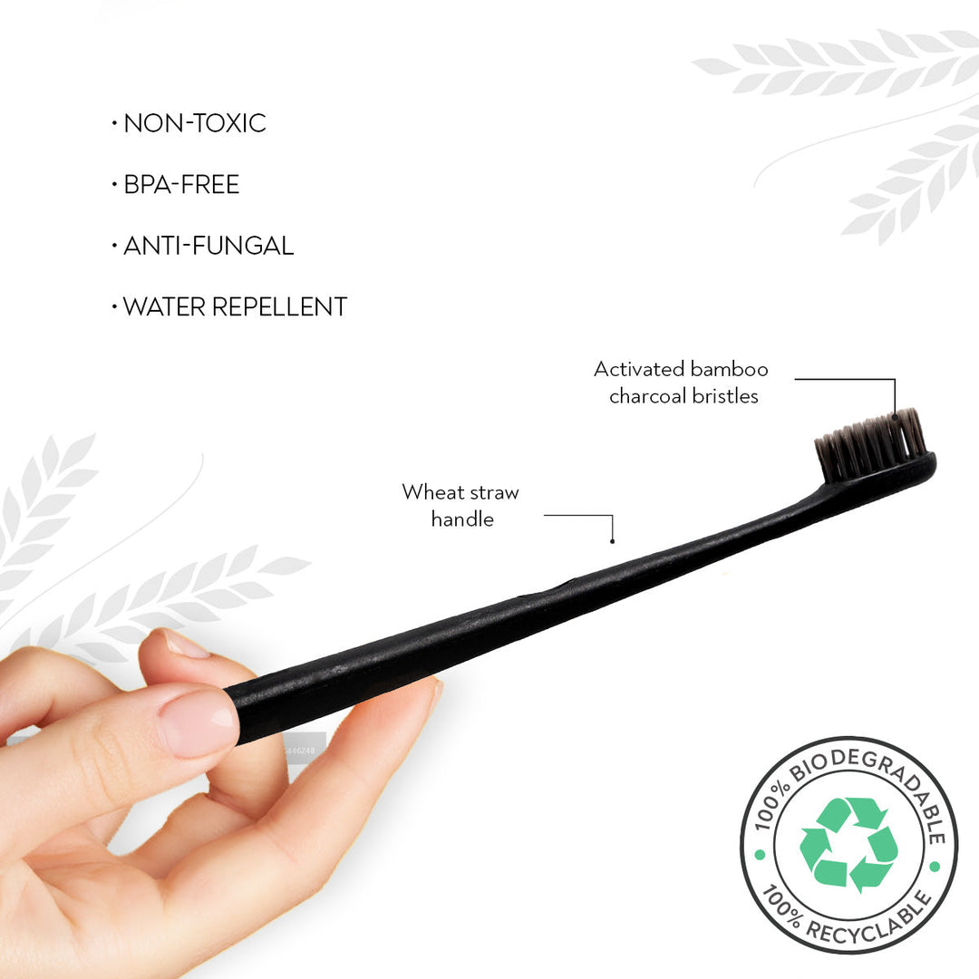 Habbits Teeth Whitening Powder & 4 Biodegradable Toothbrushes | Natural Oral Care Combo | Charcoal & N-HAp | Wheatstraw Handle Manual Toothbrush With Soft Bristle for Adults