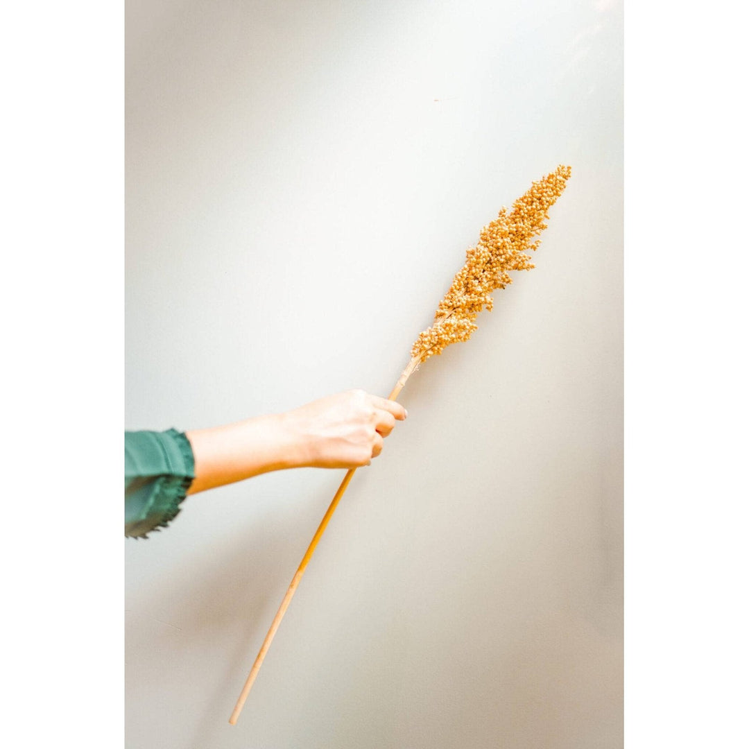 Corn bunch - https://artecasa.in/
