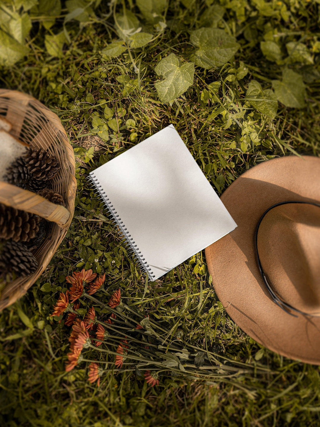 Shapes Peekaboo Notebook - A5 Size Wiro Spiral Binding