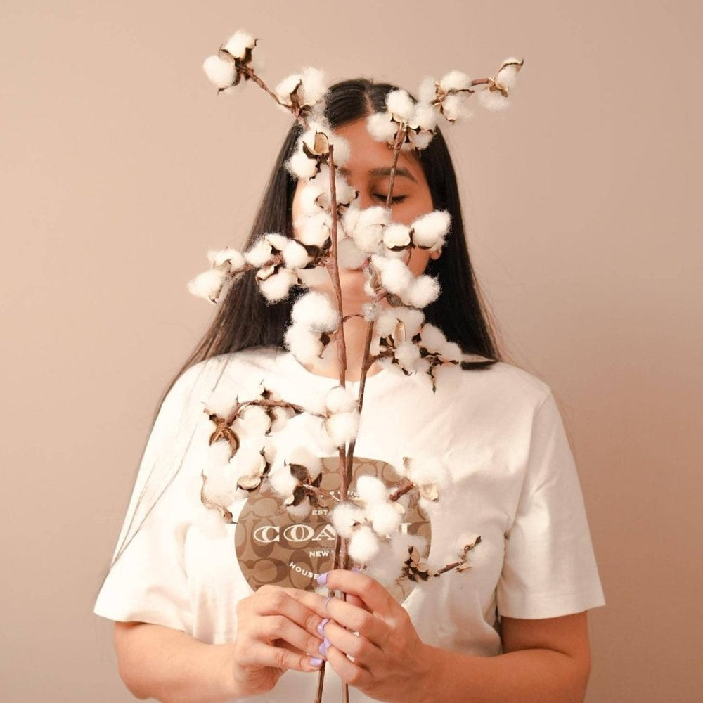 Natural Dried Cotton Stems | Decorative Floral Décor