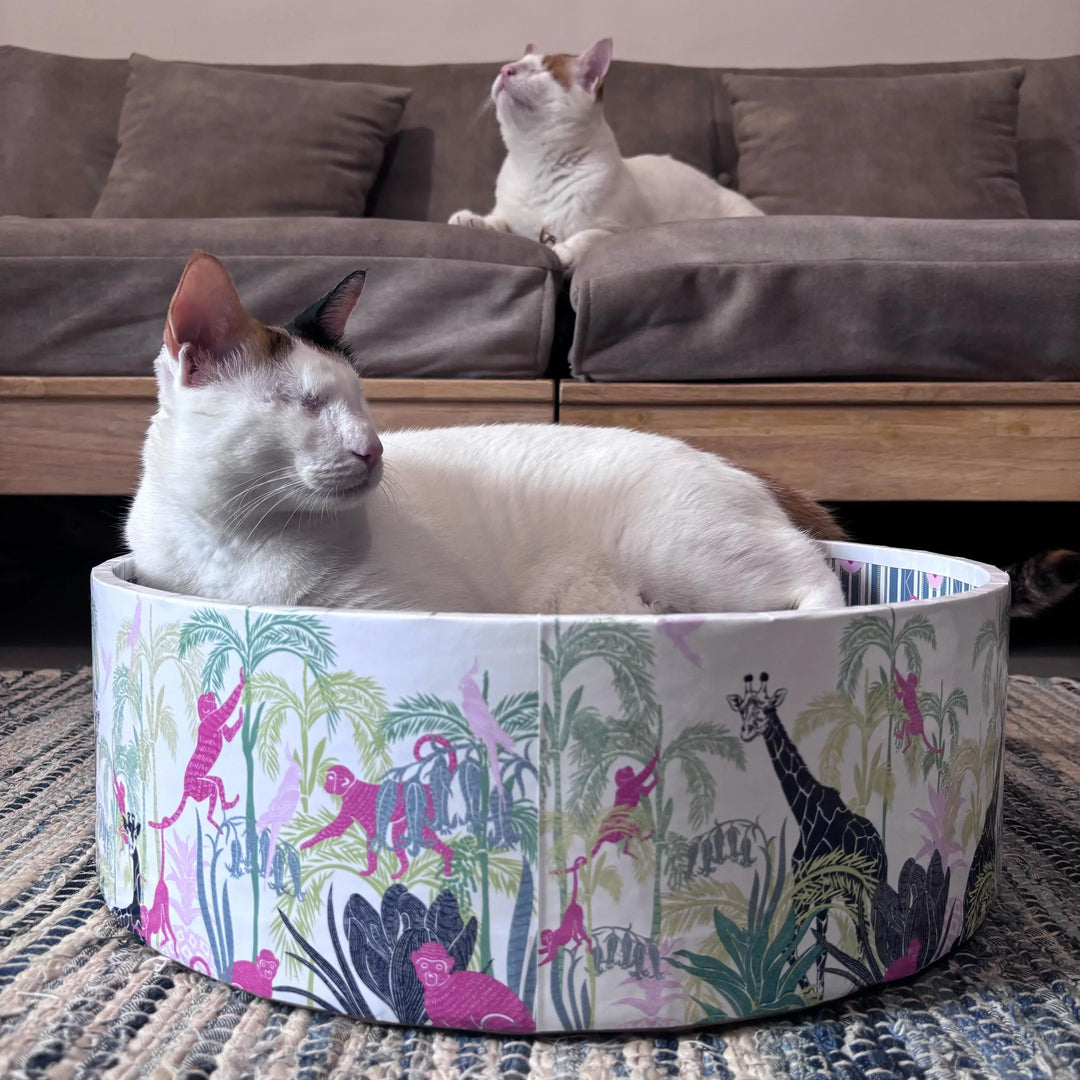 The Bella Scratch Bed - Lost in the Jungle