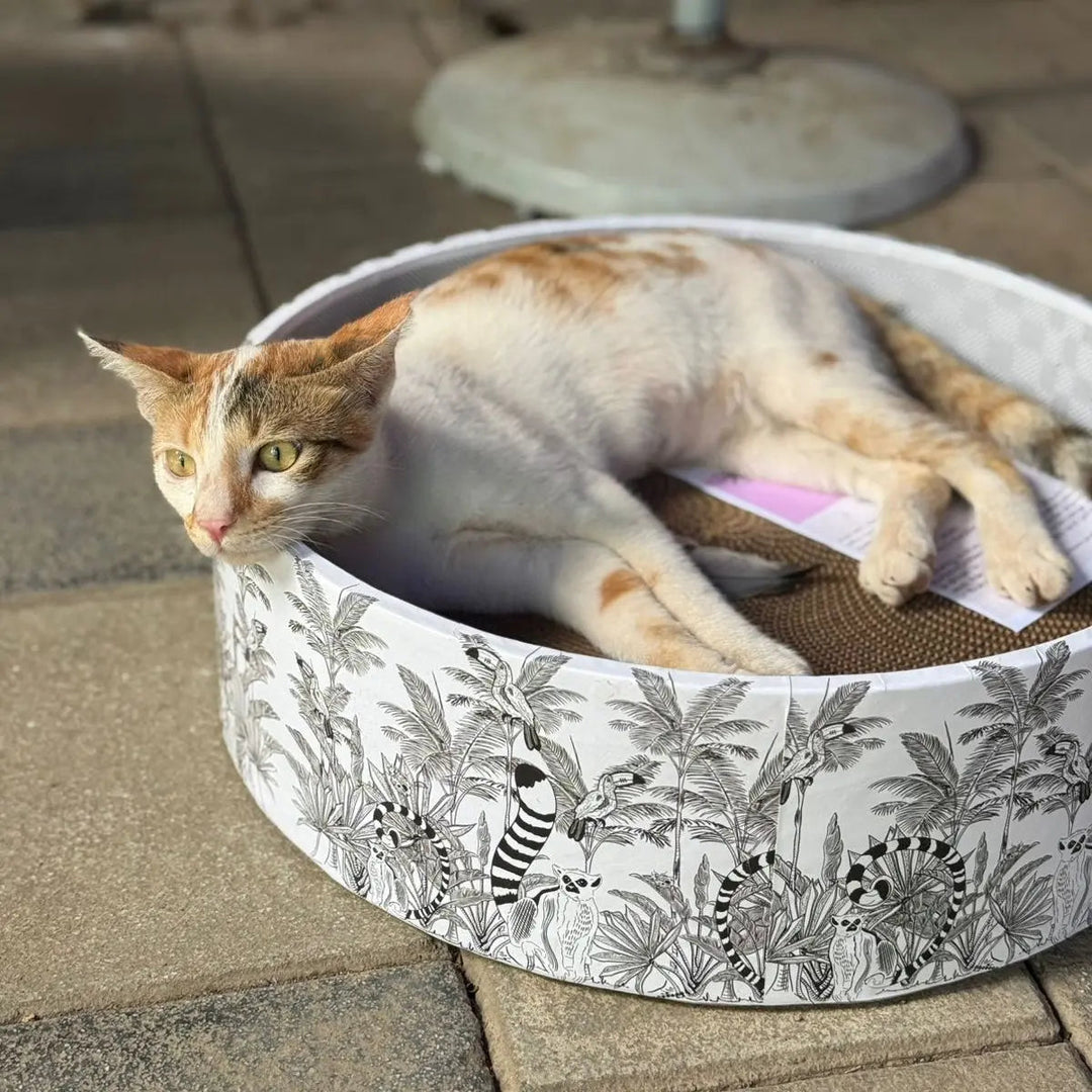 The Bella Scratch Bed - Madagascar