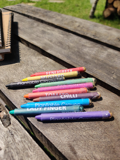 Plantable seed crayons | non- toxic colours