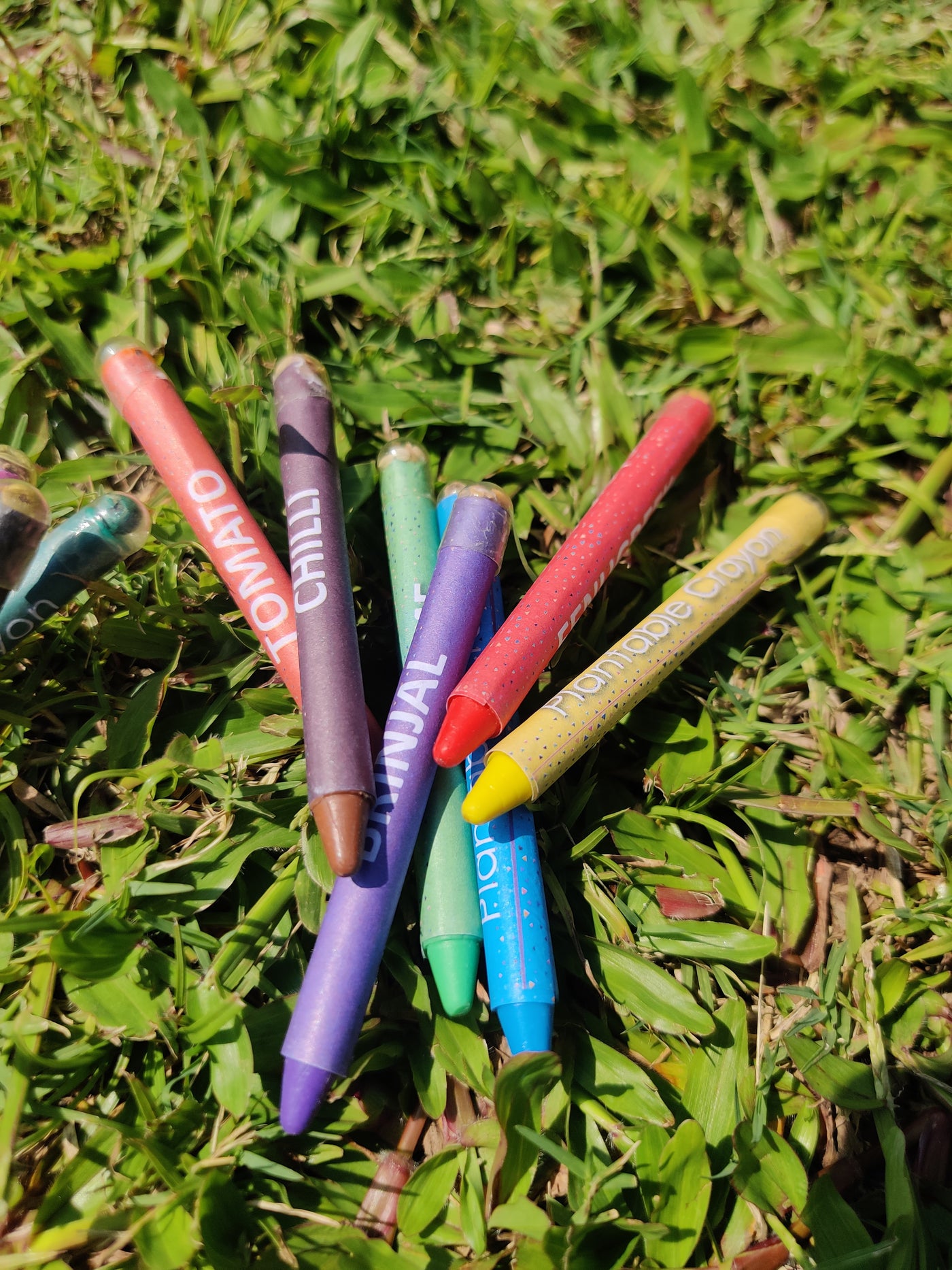 Plantable seed crayons | non- toxic colours