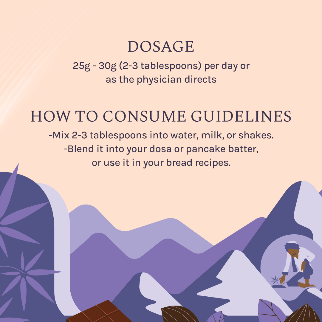 India hemp Organics Hemp Powder - Chocolate Hazelnut - 500 Grams