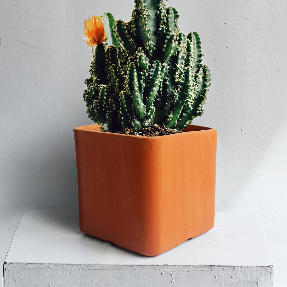 CUBOID Terracotta Planter LARGE