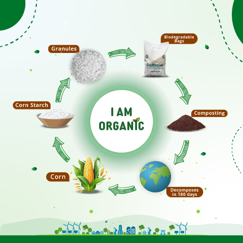 Ecobharat Bio-degradable and Compostable Carry Bags, Grocery Bags, Shopping Bags | White (D-cut)