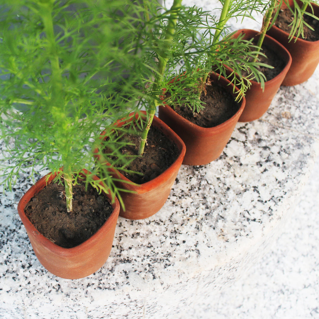 Cylindrical SQUARE MOUTH Terracotta Planter (BULK PACK ONLY) - Suspire