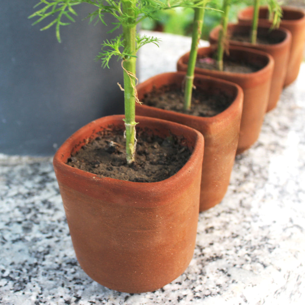Cylindrical SQUARE MOUTH Terracotta Planter (BULK PACK ONLY)