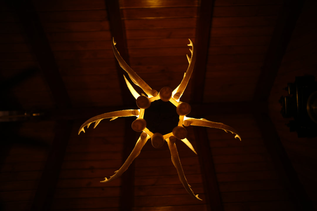 Antler&
