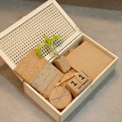 Eco Friendly Corporate Gifts – Treasure Trunk Cork Hamper – The Bamboo Bae