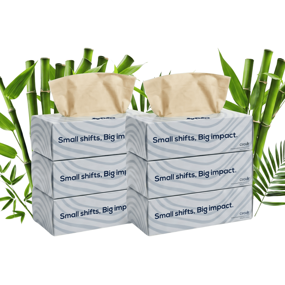 Bamboo Facial Tissues Blue (2 Ply | 100 Pulls) Pack of 6