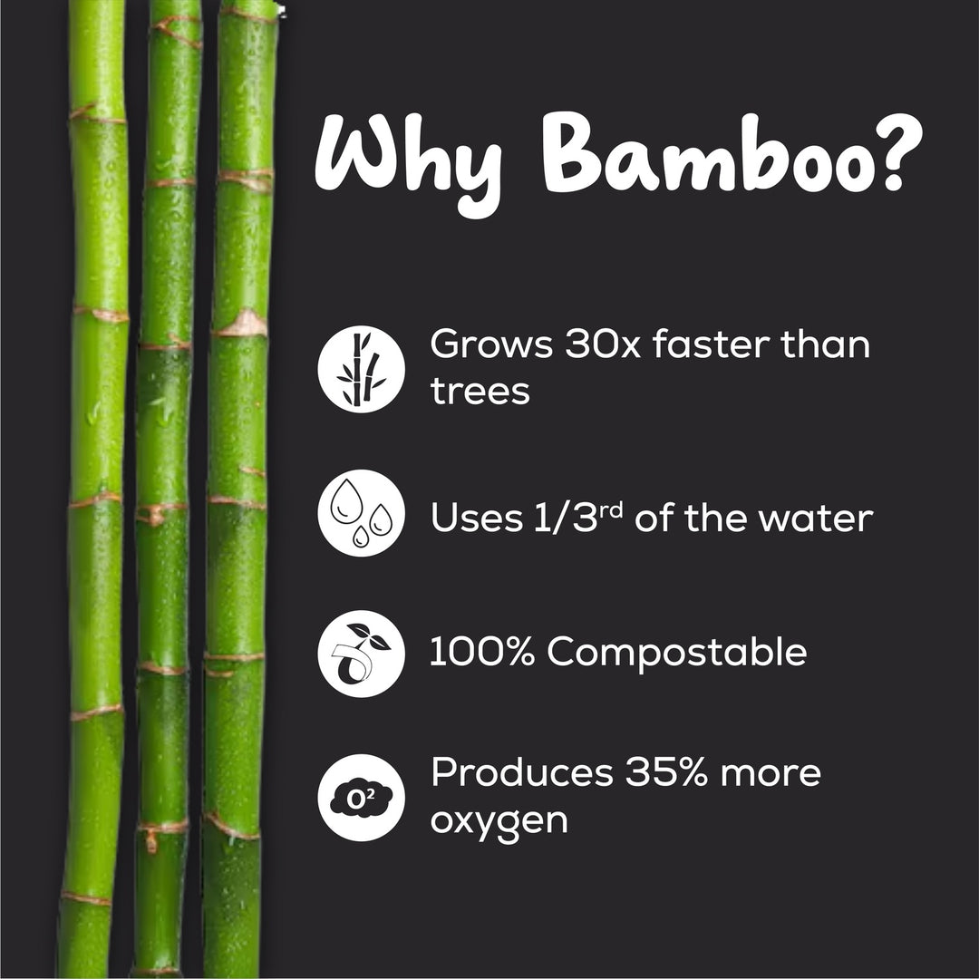 Bamboo Tissue Tube Black (Pack of 8)