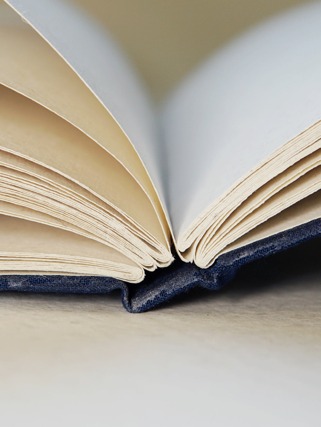 A5 | Blue bird journal | Handmade paper | Upcycled Fabric diary