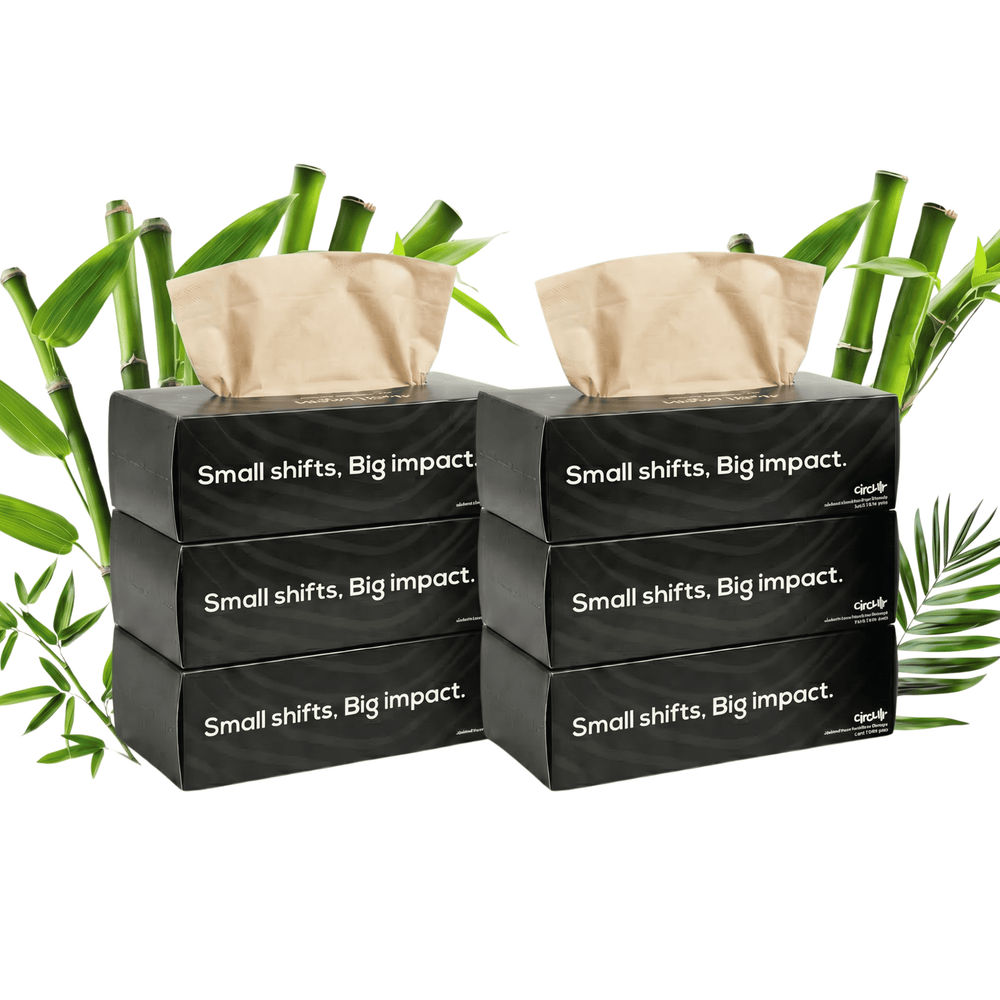 Bamboo Facial Tissues Black (2 Ply | 100 Pulls) (Pack of 6)