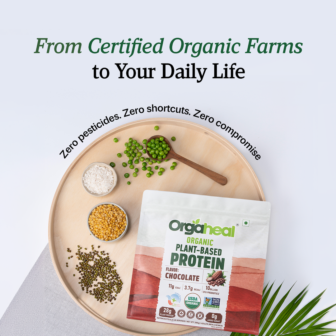 Organic Plant-Based Protein Chocolate