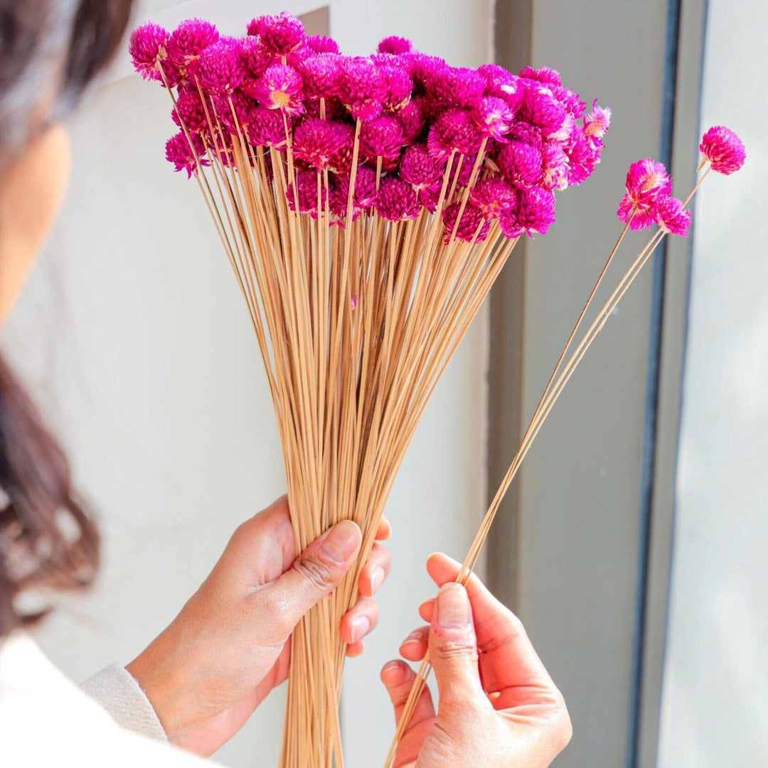 gomphera set of 25 stems -Dark pink - https://artecasa.in/