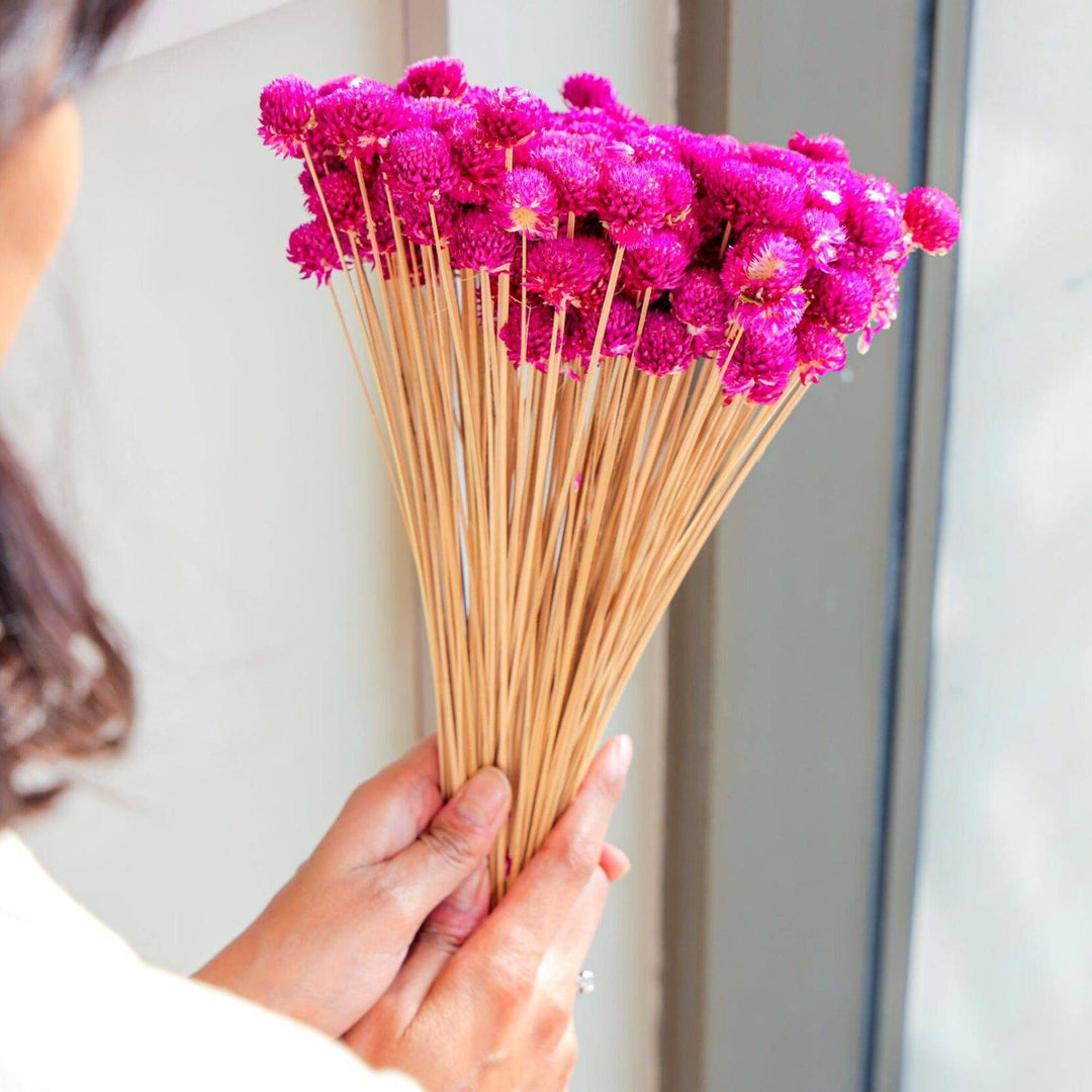 gomphera set of 25 stems -Dark pink - https://artecasa.in/