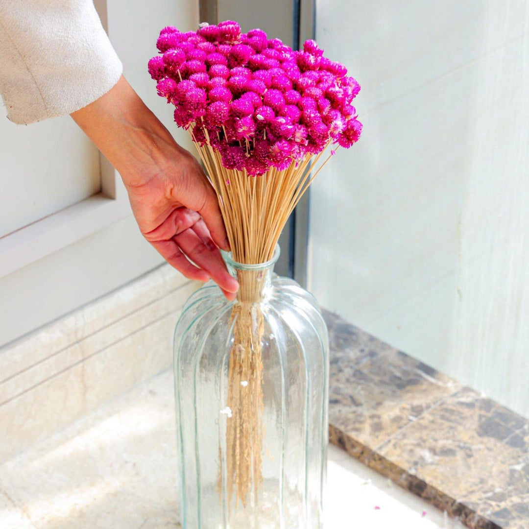 gomphera set of 25 stems -Dark pink - https://artecasa.in/