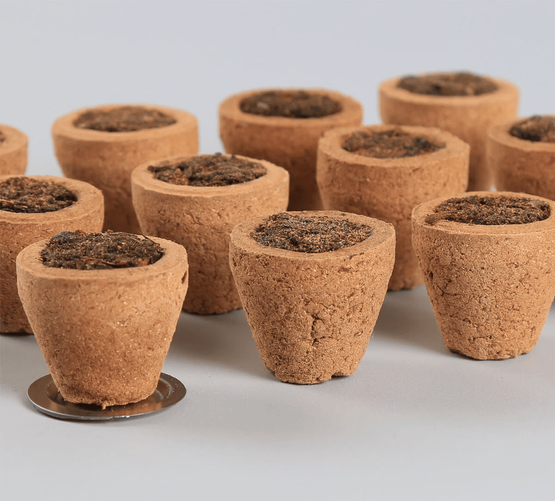 Rosea Sambrani Havan Cups Set of 10 Cups