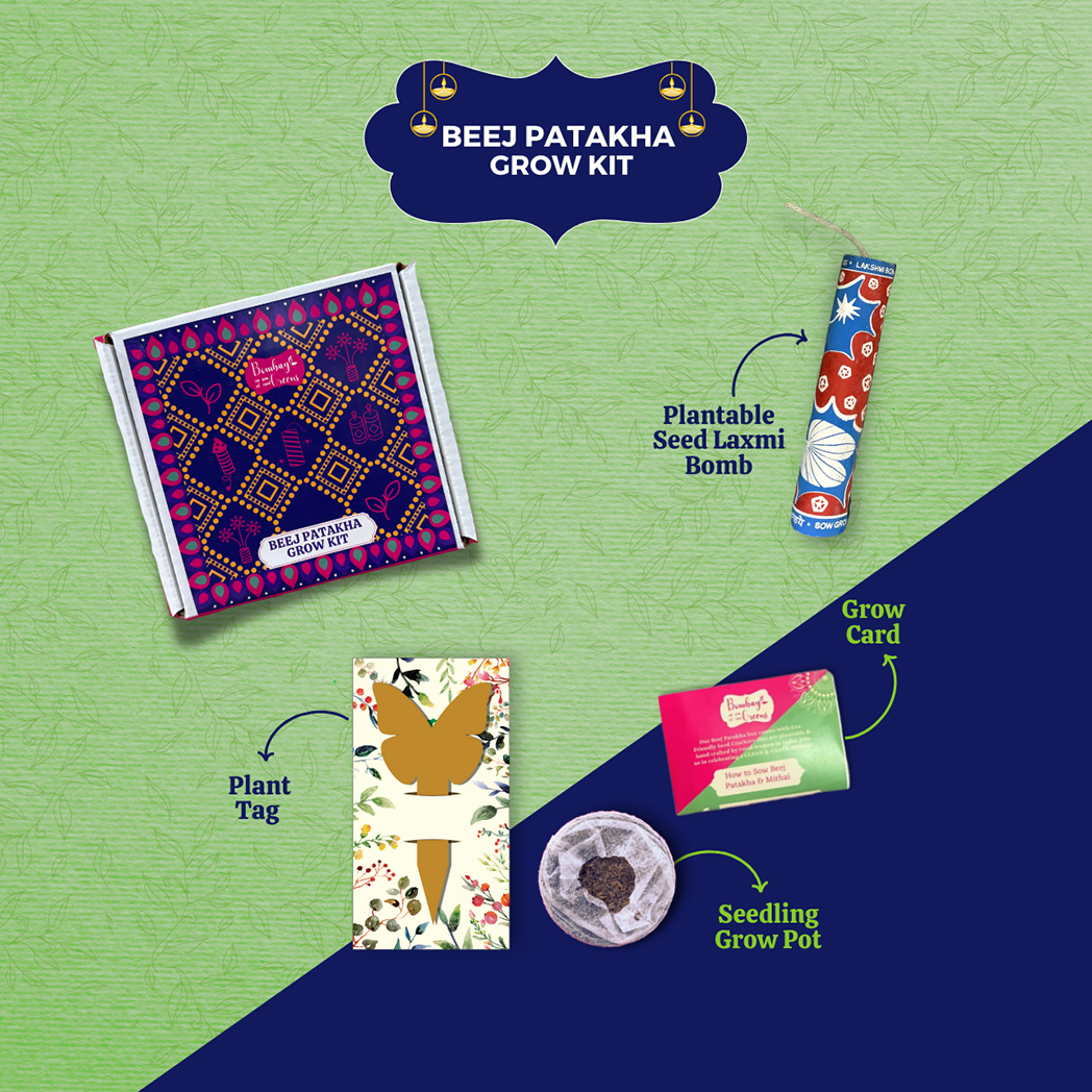 Bombay Greens Eco-Friendly Festive Hamper