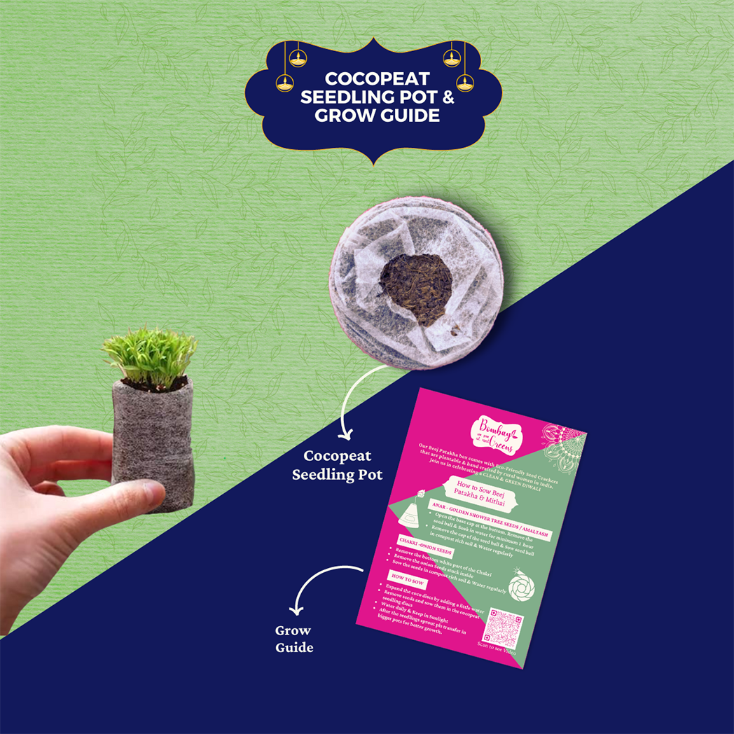 Bombay Greens Eco-Friendly Festive Hamper