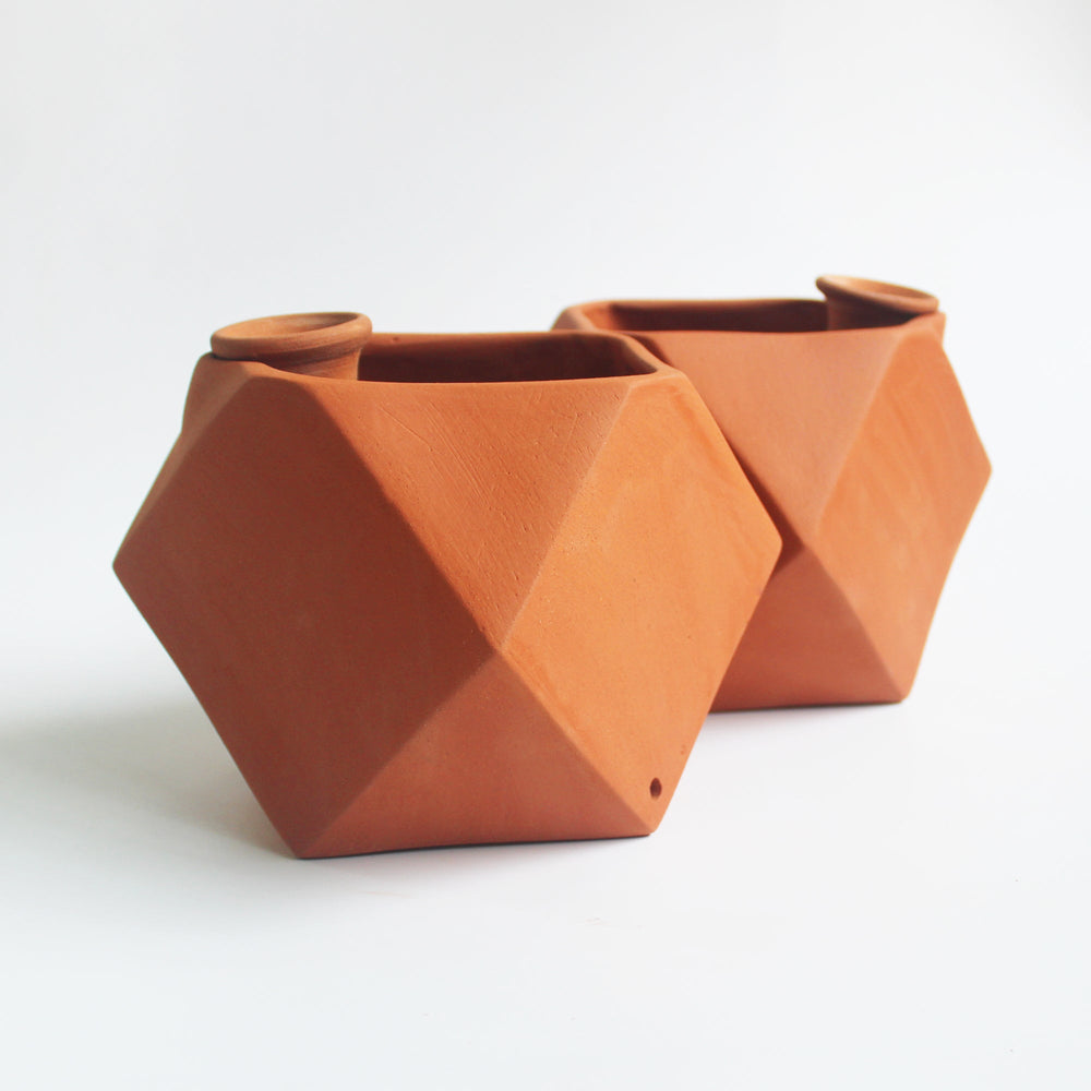 D'MOND-1 Terracotta Planter with Deep Root Watering System