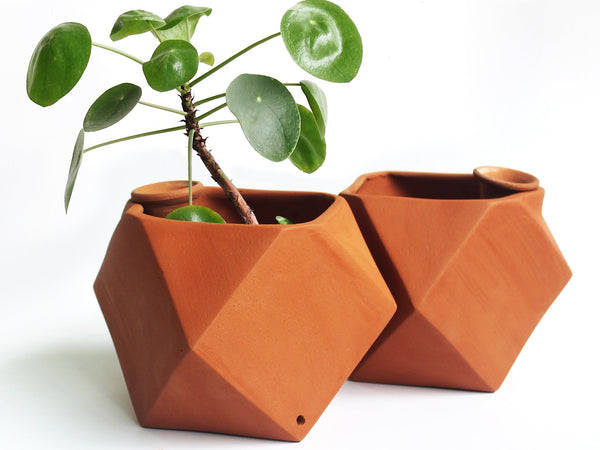 D'MOND-1 Terracotta Planter with Deep Root Watering System