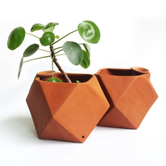 D'MOND-1 Terracotta Planter with Deep Root Watering System
