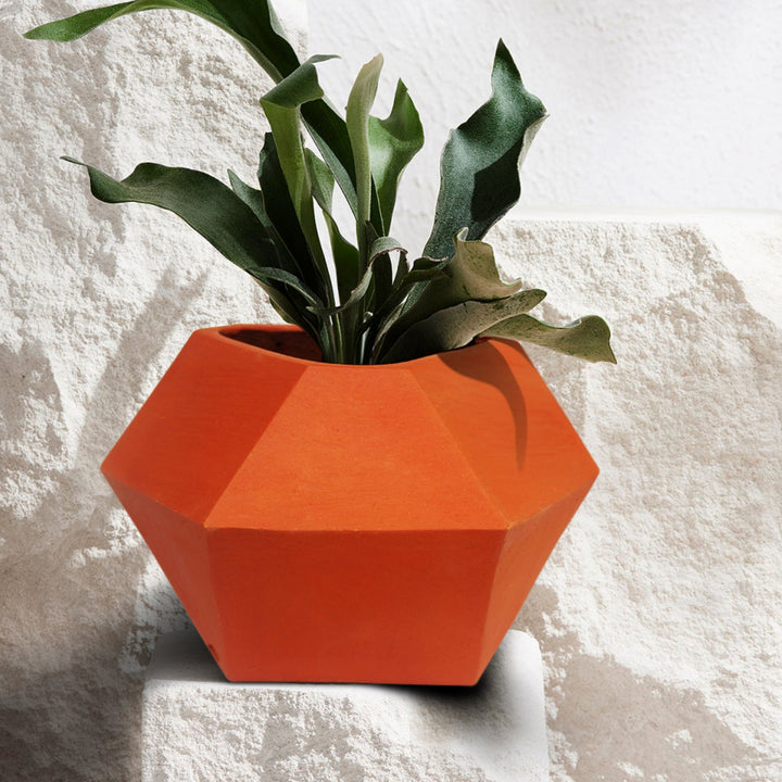 D'MOND - 2 Terracotta Planter - Suspire