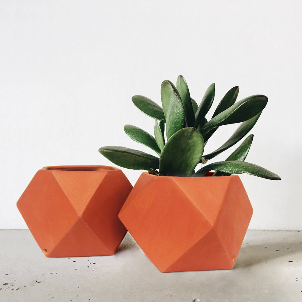 D'MOND-3 Terracotta Planter