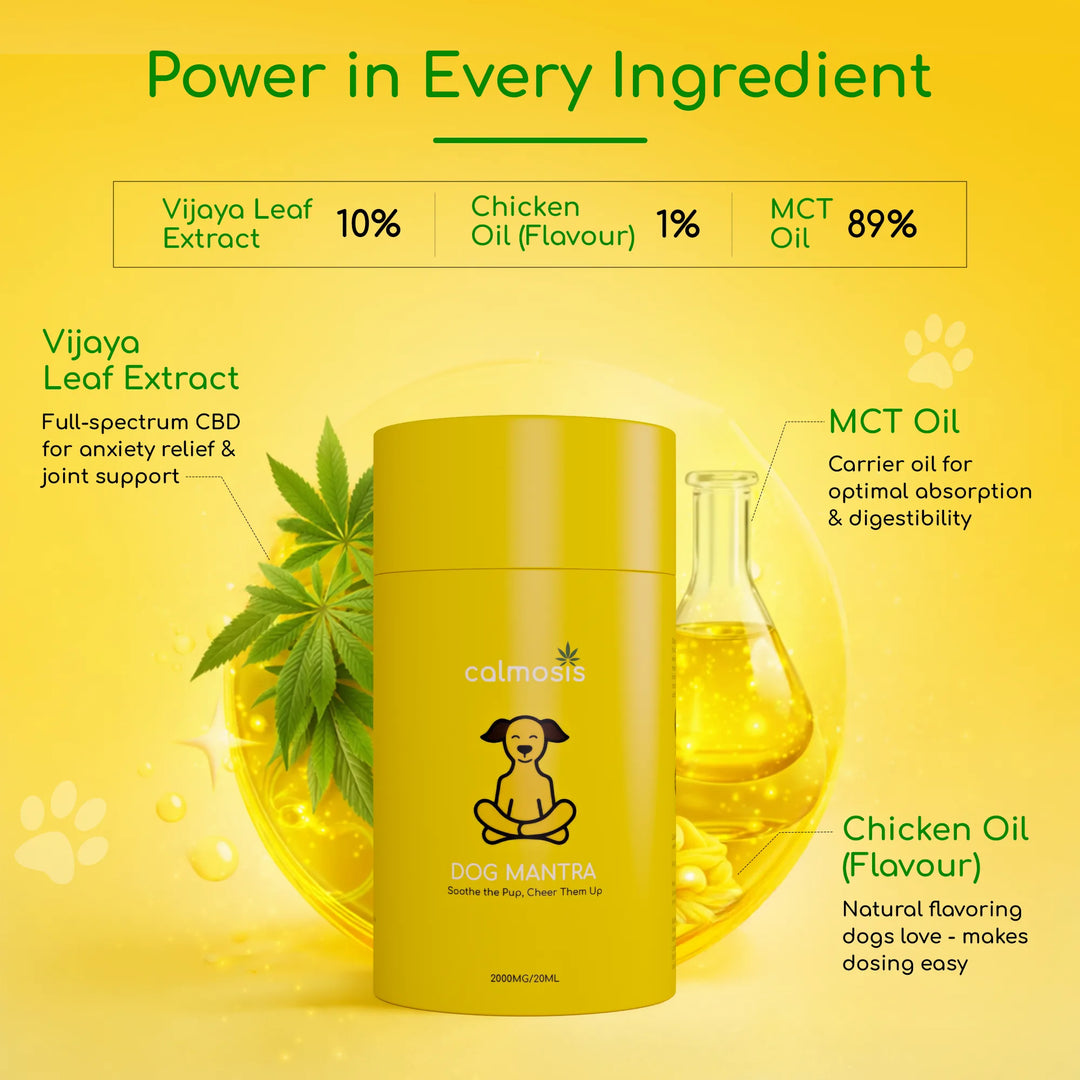 Calmosis Dog Mantra — THC-Free CBD Oil for Pet Anxiety