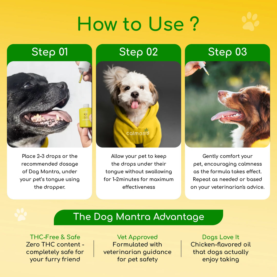 Calmosis Dog Mantra — THC-Free CBD Oil for Pet Anxiety