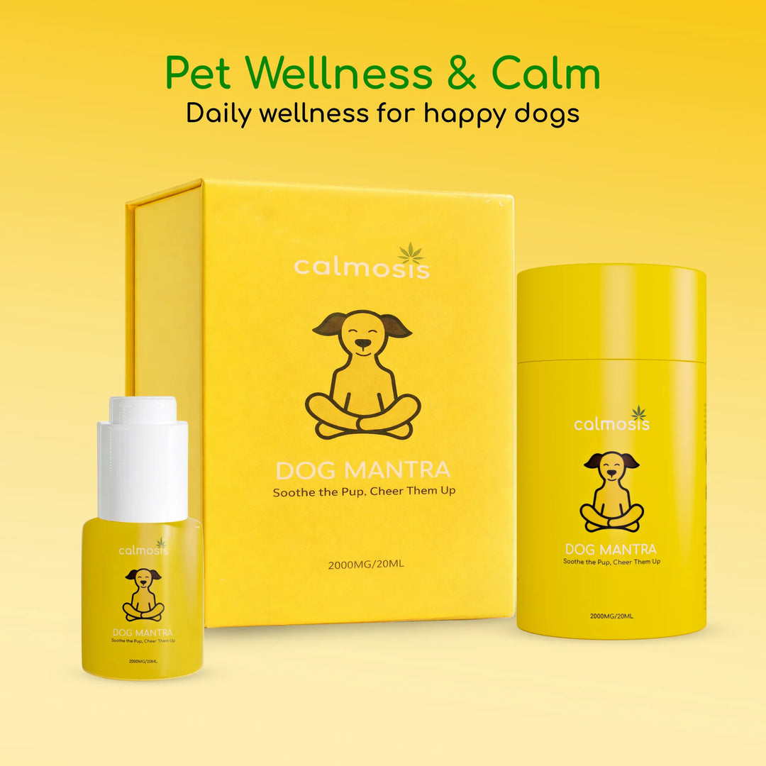 Calmosis Dog Mantra — THC-Free CBD Oil for Pet Anxiety