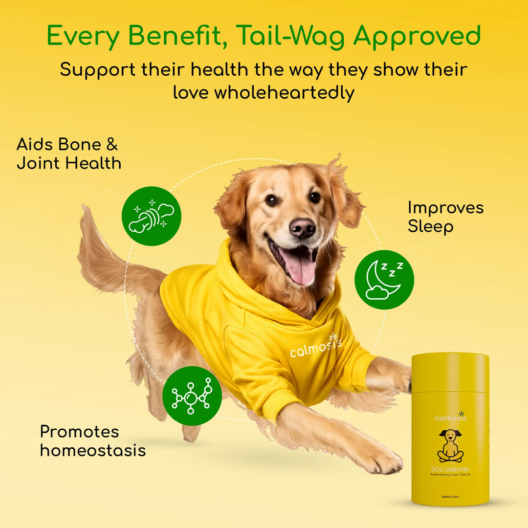 Calmosis Dog Mantra — THC-Free CBD Oil for Pet Anxiety