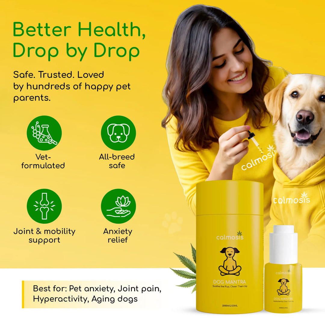 Calmosis Dog Mantra — THC-Free CBD Oil for Pet Anxiety