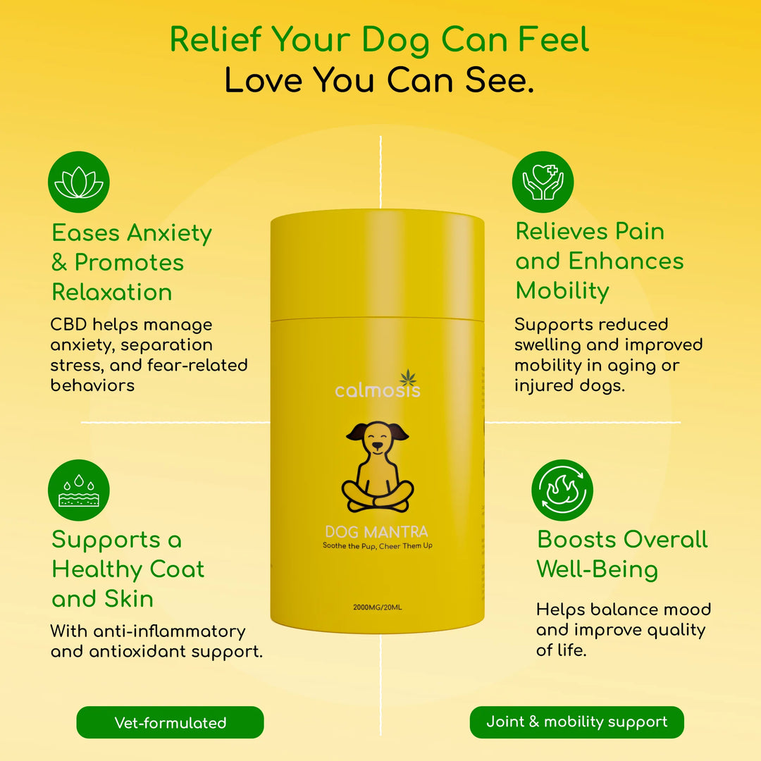 Calmosis Dog Mantra — THC-Free CBD Oil for Pet Anxiety