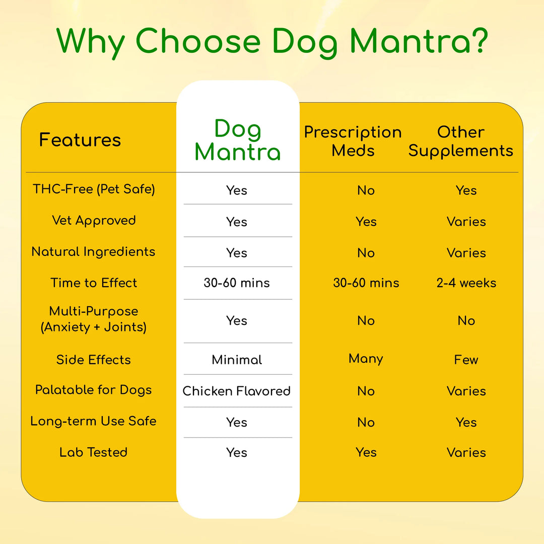 Calmosis Dog Mantra — THC-Free CBD Oil for Pet Anxiety