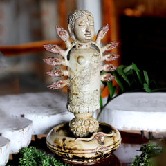 Goomti Harmony in Duality