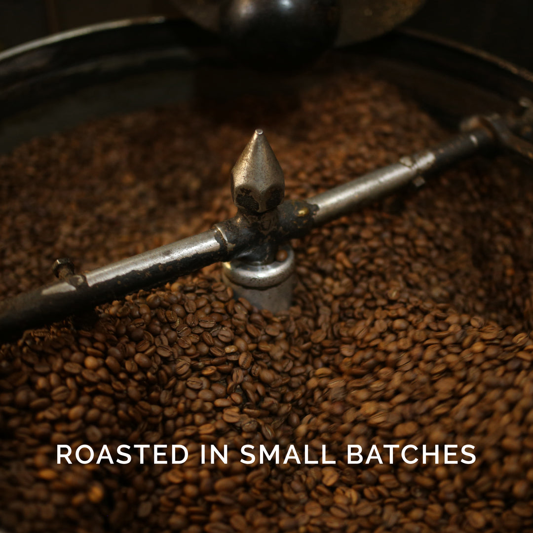 The Bean Co Roasters Vienna Roast Coffee Grounds | Medium-Dark Roast | Aromatic, Full-Bodied & Smooth | Freshly Roasted Premium Coffee
