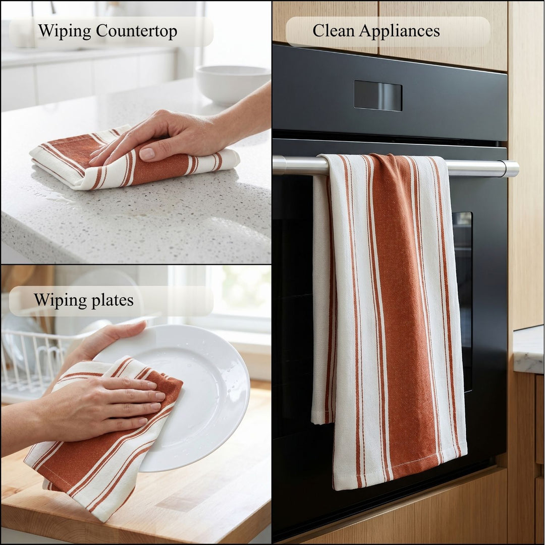 Striped Cotton Dish Towels ( Set of 2 )