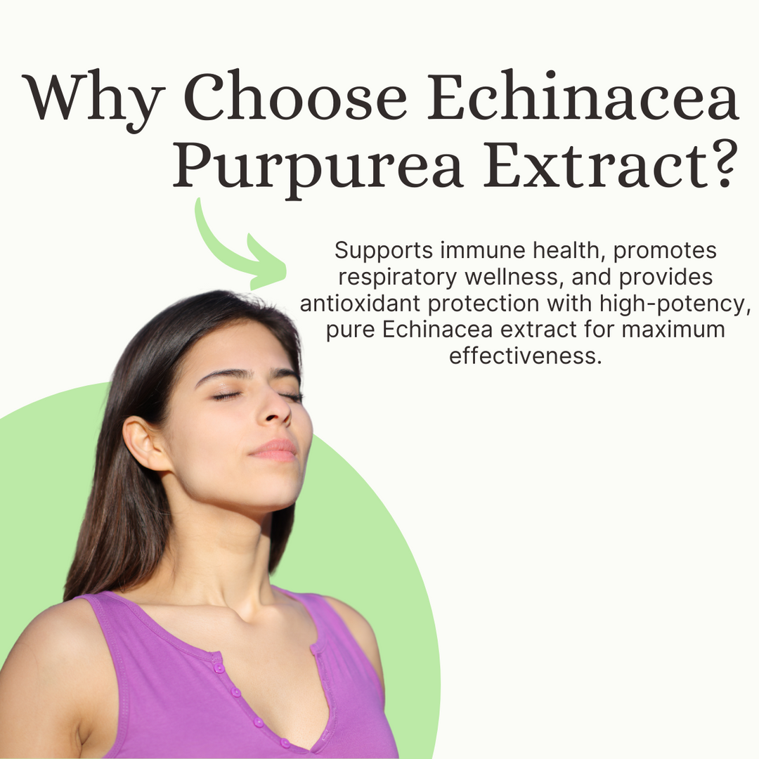 Echinacea Extract Capsules  120 Count | Immune Boost & Antioxidant Support