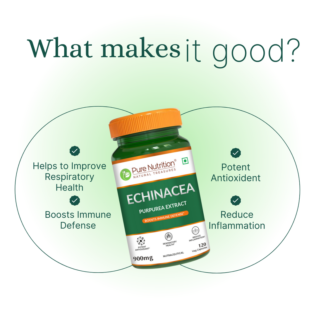 Echinacea Extract Capsules  120 Count | Immune Boost & Antioxidant Support